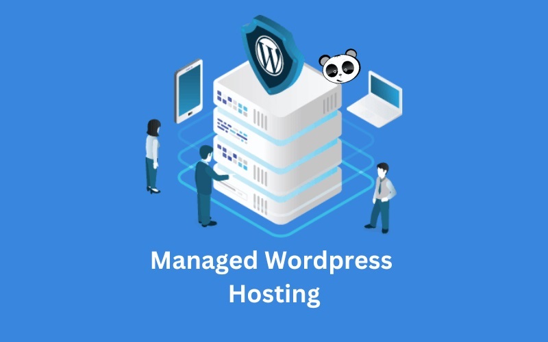 WordPress Managed Hosting