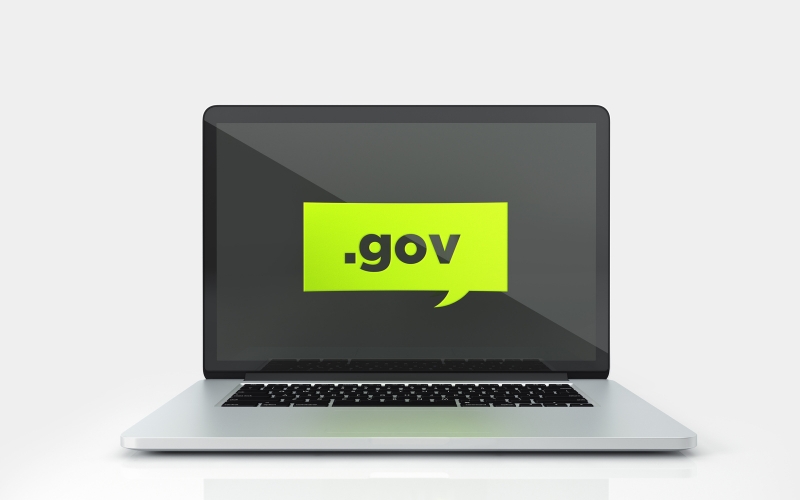 nguyên tắc đăng ký domain gov